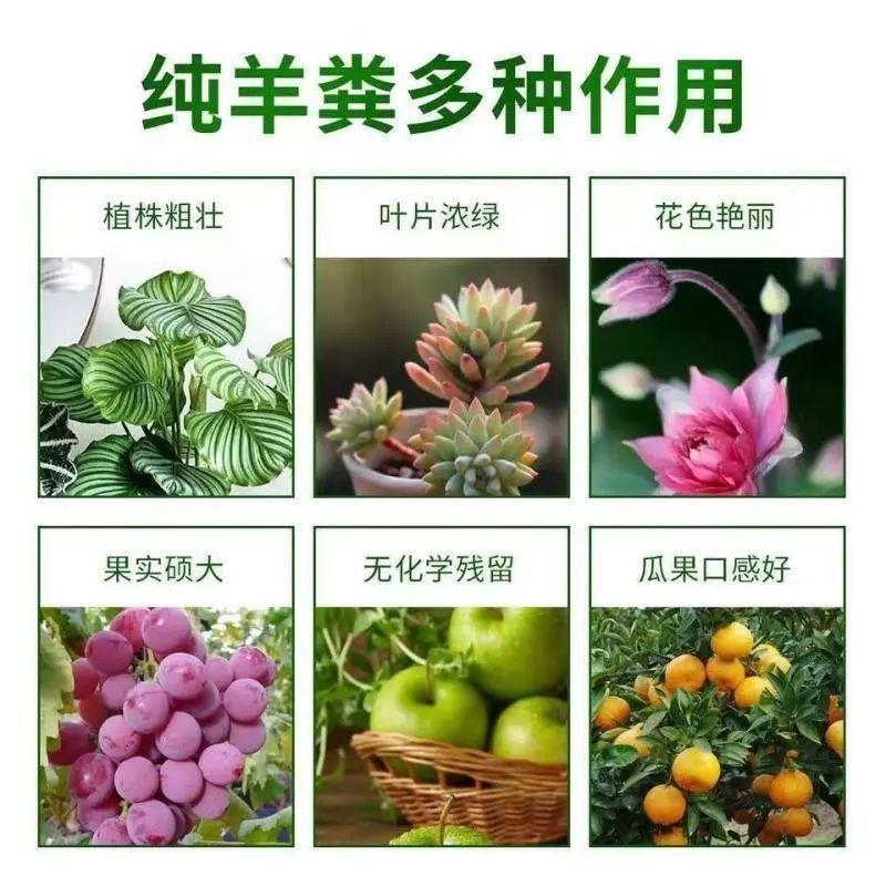純粋な羊の糞、乾燥鶏の糞、野菜、果樹、花用の特別な発酵有機肥料、1トン|undefined