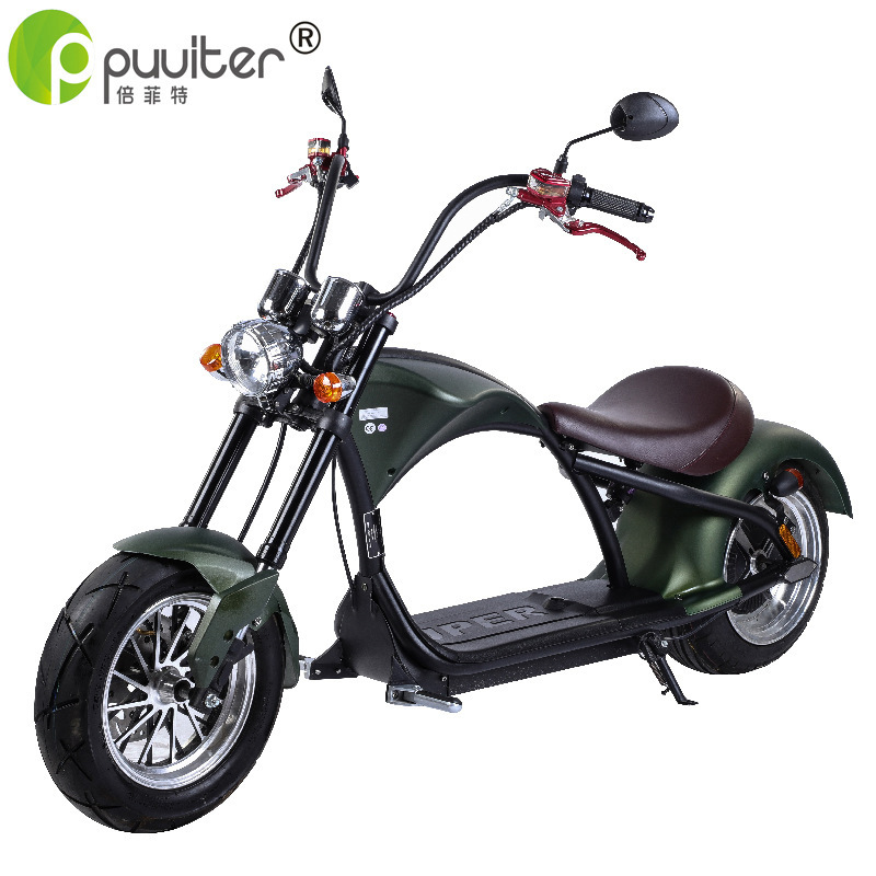 Cross border Europe EEC Halley Electric motorcycle 60V a storage battery car adult Lithium Prince Electric Bicycle