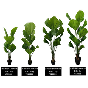 ����A�~�ؙ������Ծ������ֲ������辰�Ҿӿ͏d�b�ˇƷ���l