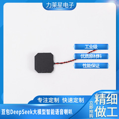 新製品 Doudao DeepSeek 大型モデル インテリジェント音声 AI スピーカー 高品質音声再生スピーカー