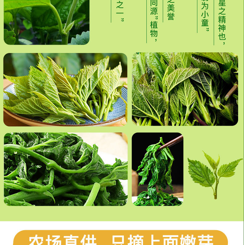 桑叶菜详情页_11.jpg