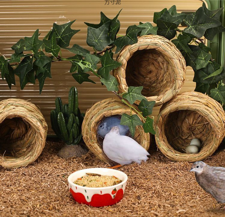 c2894086-be58-4707-aa18-8dcdfa7a2658.jpe