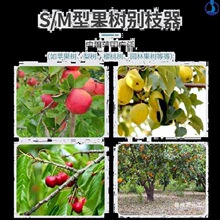������֦���e֦���F�z����s�h��֧��֦��֦�ۼ����������֦��֦