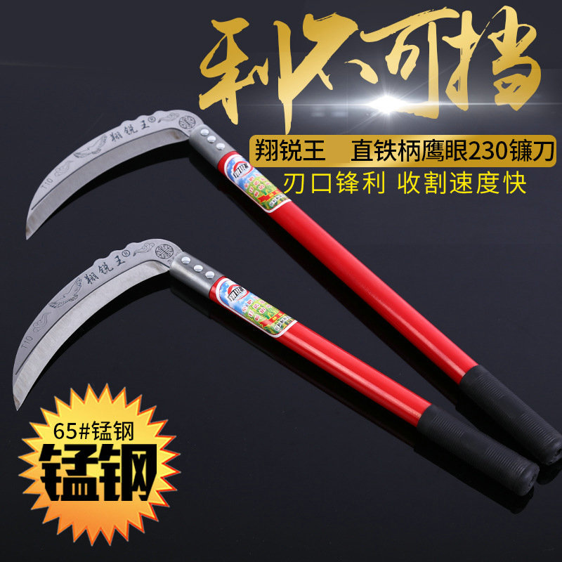 4849539235_251758656