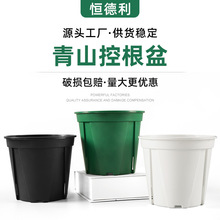 白色多肉花盆青山盆蝴蝶兰种植盆绿萝加仑花盆塑料透气月季控根盆