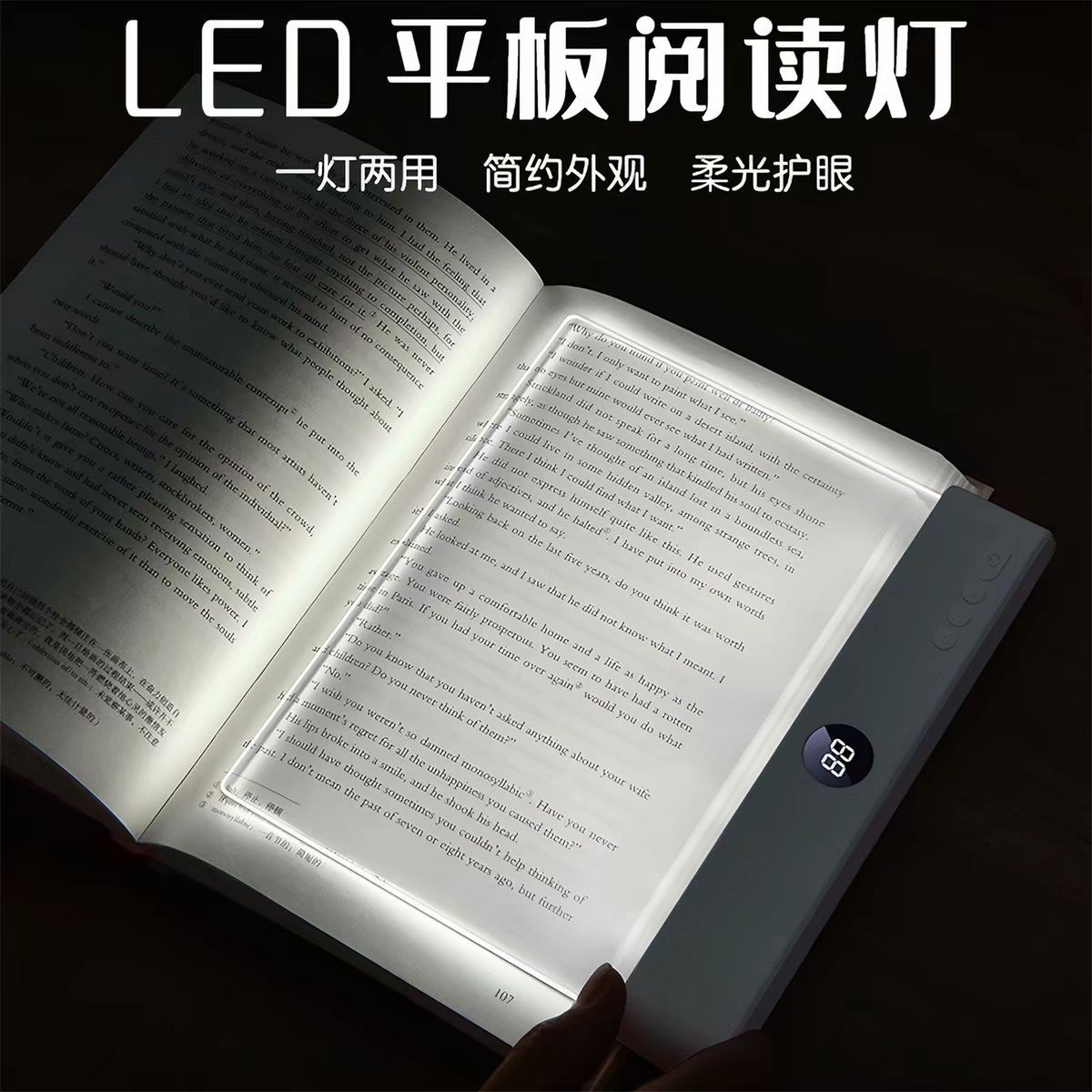 Light panel