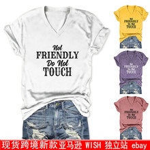 ���R�deBay�ļ��¿�V�I����not friendly do not touch�W��ŮT��