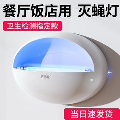 留置場や商店が壁を掛けて蚊を駆除するランプでハエを駆除するレストランホテルの家庭で虫ハエを捕獲する