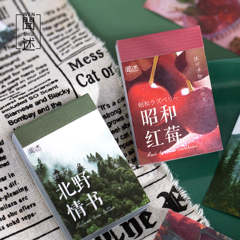 Wen Shu Heyi libro pegatina de papel Galaxy Museo serie ins estudiante diario DIY material pegatinas 6 modelos