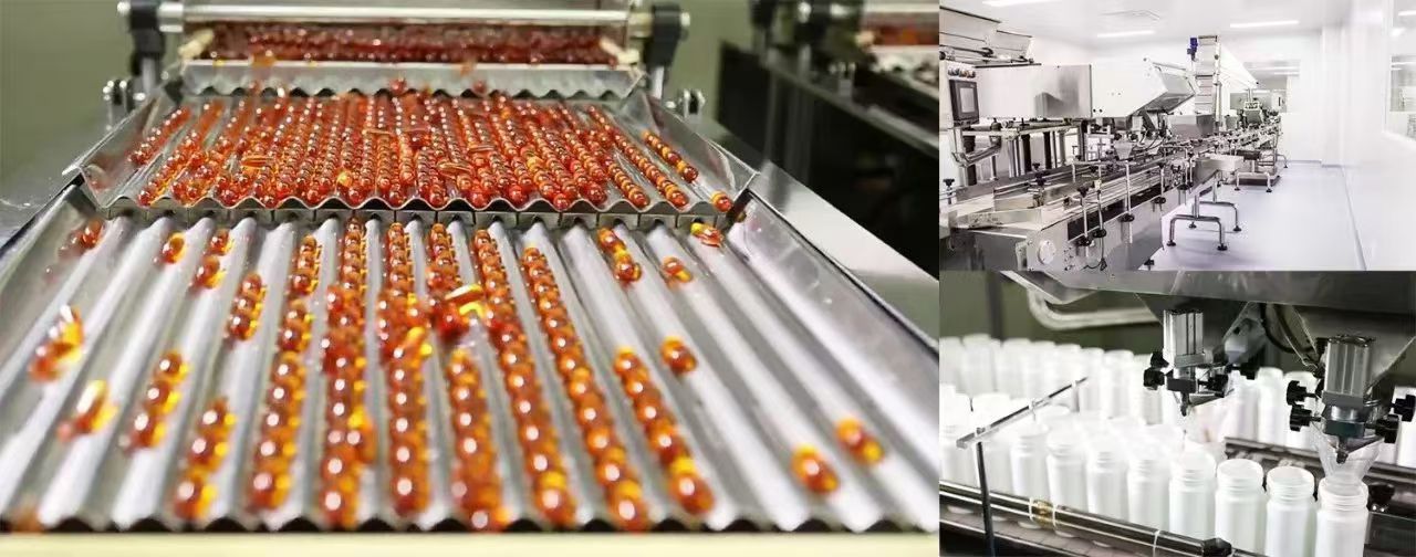 Iron-Enriched Fruit Gummy Candy Gelatin Snack Individually Wrapped Bottle Pack Customizable specifications