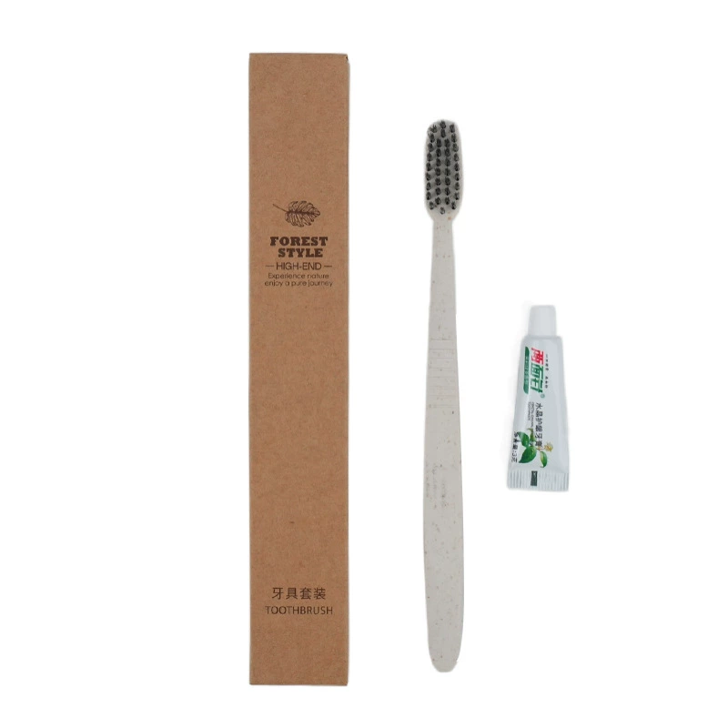 Disposable toothbrush for hotel, elite toothpaste, set, wholesale