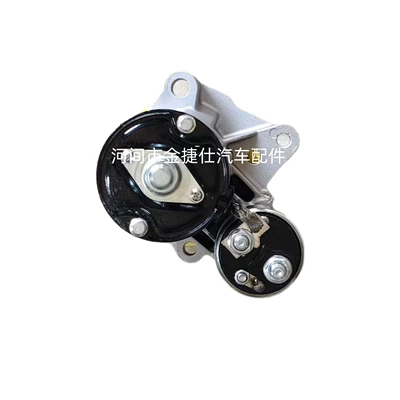 0001106017 12V 0.9Kw Starter and accessories