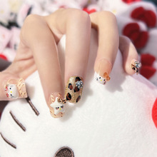 �¿ʽ�̿�KT؈���ې��ĺ����Y���׿ɐیW���h�@�״����׶�����