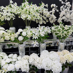 ��ɫϵ�߶˻�c���滨�nʽ��Y���û�ˇ���ý����ďS��ֱ�����l