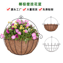 �|��12��30cm��ɫ�A�δ��F�����ڒ�@����ܰ�A��Ҭ���w�S���@