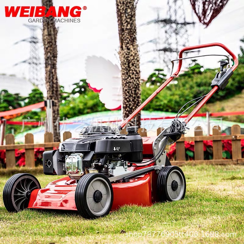 维邦WB536HK草坪机割草机21寸手推式除草机高尔夫球场适用修草机