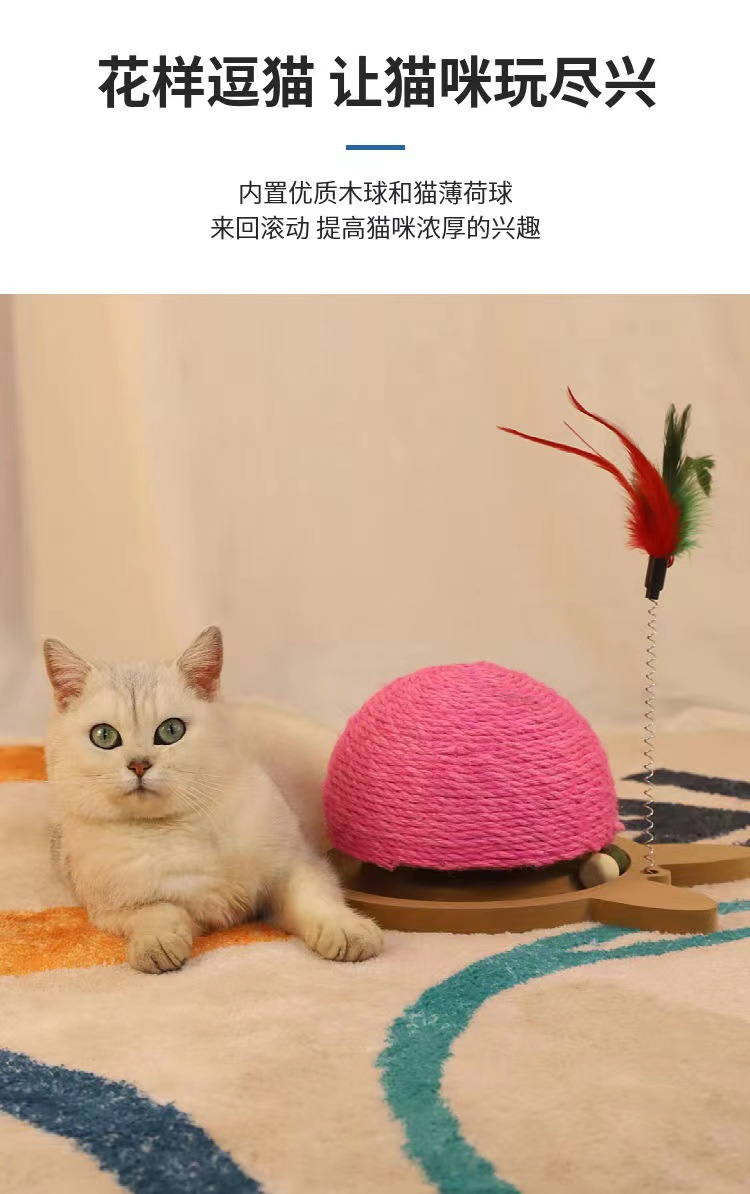 详情图