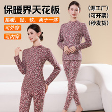 中老年印花保暖套装圆领奶奶装老人居家保暖打底妈妈羊绒蚕丝内衣