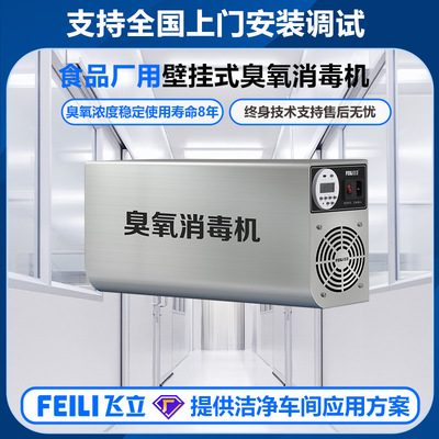飞立不锈钢臭氧消毒机壁挂式洁净车间用高效杀菌风冷式臭氧发生器