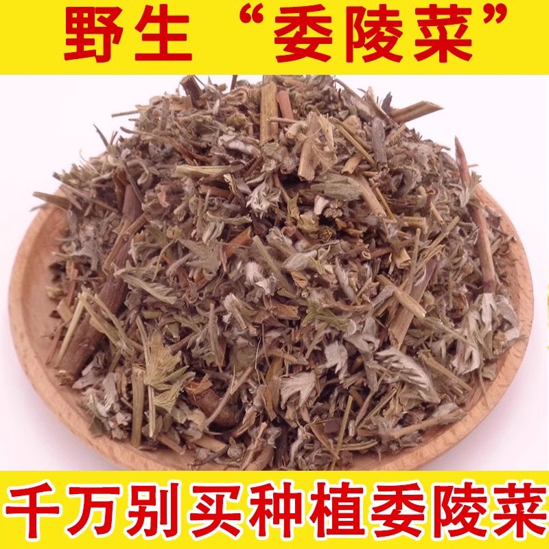 委陵菜野生中药材蛇含草 蛇衔 紫背草 五匹风 五爪龙 委陵菜500克