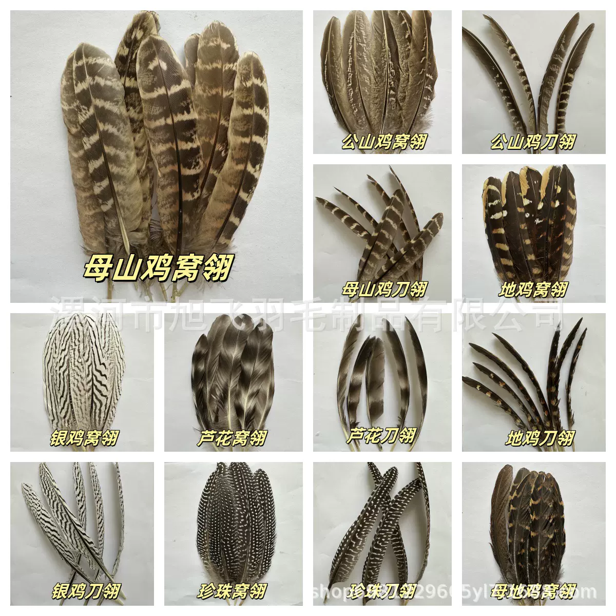 批发各类野禽翅膀 窝翎 刀翎diy装饰美术材料  影视服装道具