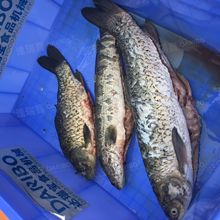 WȫԄʽ~C __ȥ[~CС͚~CС~