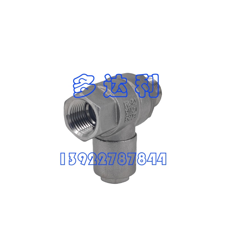 BTQ31F63R ֹ  PN63 DN15 CF8M carrier check valve