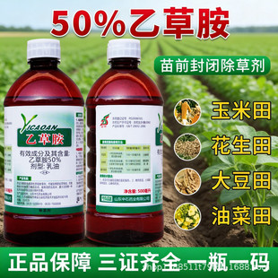 50%�Ҳݰ��rș���״����޻��󶹻�����ǰ����Ҳ��@���]ș���݄�