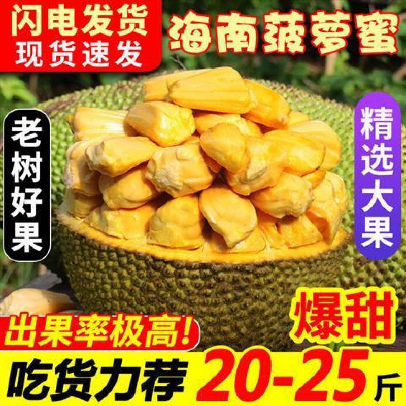 红肉菠萝蜜拍下秒发海南一整个5-22斤红心波罗蜜当季热带新鲜水果|ru