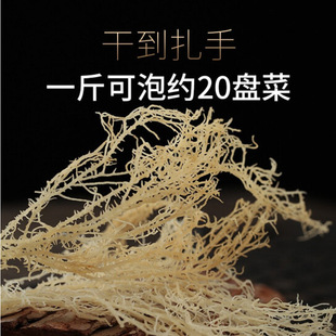 ������횲�ʯ�}����횲˸�؛����¹�ǲ˺�ʯ����؛�������500��