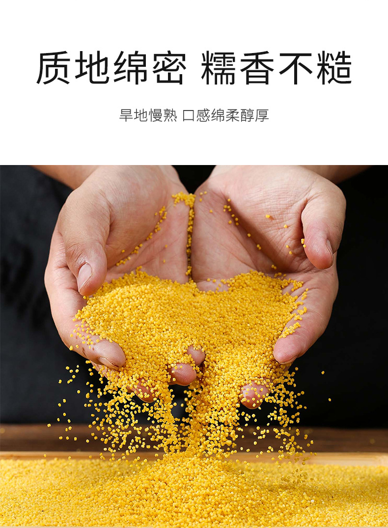 New Crop Yellow Millet Grain Fragrant Sticky Congee Rice 500g specifications