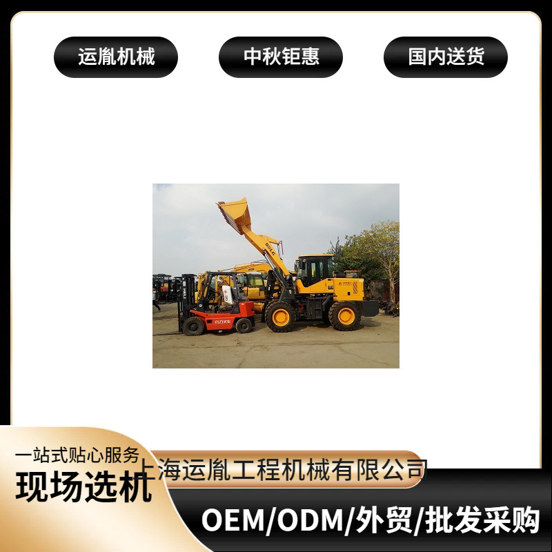 临工大20长臂装载机30铲车50高卸王装载机