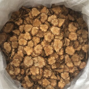 ��Ѫ��  �t��ɢ؛���l �XѪͨ �eɽ�t�ݾ��ݲ���� �廨�� �t��Ƭ