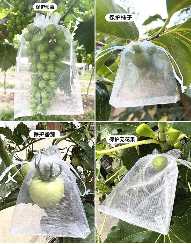 微信图片_20240330200634