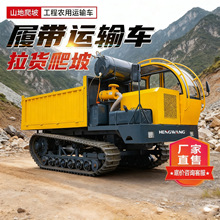 爬山虎履带运输车农用全地形小型工程自卸山地搬运车拖拉机爬坡王