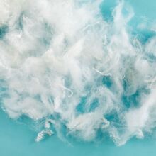 PP�޷���q��]���w��q�z���S�Ҿ����w�S�������ܛ��ů��z��