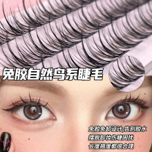 免胶鸟系水貂蓬松自然假睫毛凌乱懒人婴儿三部曲单簇太阳仿真新手