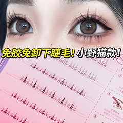 BQI免膠水下睫毛 免卸自然分段三片式小野貓嫁接透明梗免膠假睫毛