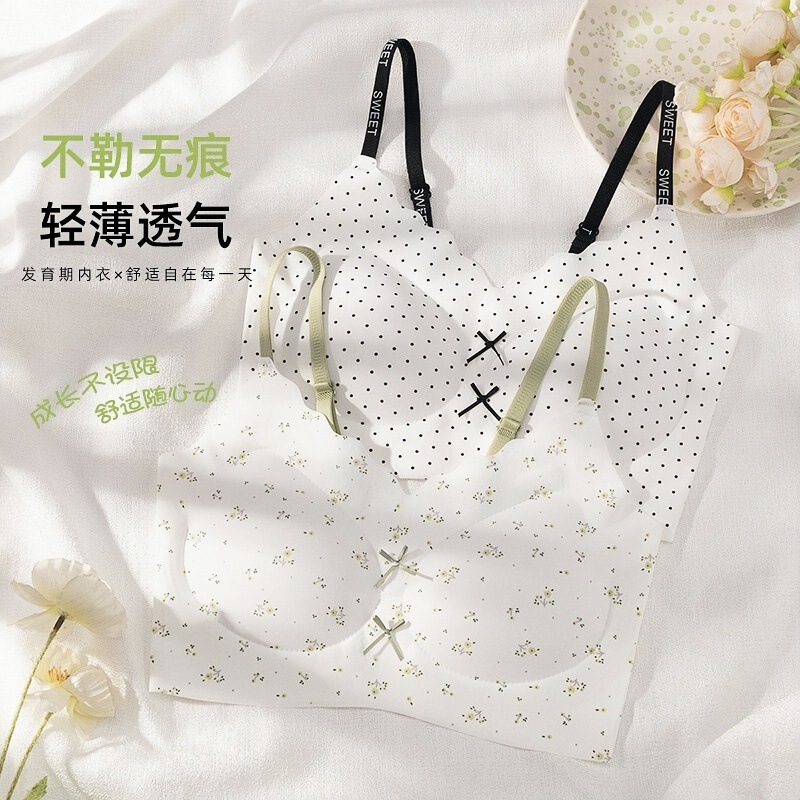 New Style Bowknot Girl's Underwear with Beautiful Back Design, Fixed Cup Design, Padded Bra for Small Busts, Anti-Sagging Student Bra New Style Bowknot Girl's Underwear with Beautiful Back Design, Fixed Cup Design, Padded Bra for Small Busts, Anti-Sagging Student Bra