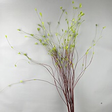 带叶龙柳 仿真柳枝柳芽藤枯枝家居装饰龙柳绿植软装线条花艺配材