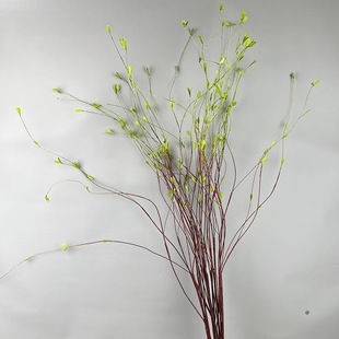 ���~���� ������֦��ѿ�ٿ�֦�Ҿ��b������Gֲܛ�b���l��ˇ���