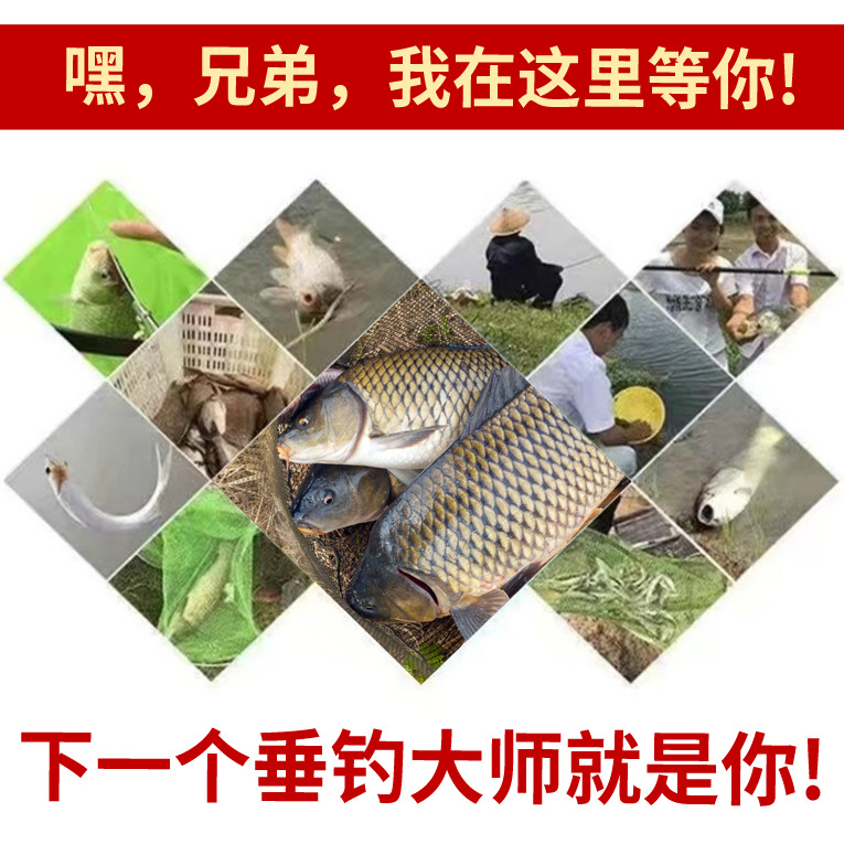 medicina tradicional china de atraer Shu vino salvaje pescar agujero negro pescar medicina pequeña de hierba, cereales, tilapia, tilapia, aditivo de atraer alimentos abiertos