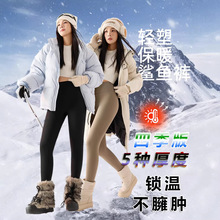 四季版鲨鱼裤女外穿无尴尬线2026年新款高腰提臀显瘦不掉档瑜伽裤