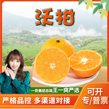 녶������ָ� ���l5/8�����rˮ������Ƥ����֭���ٷǞ���