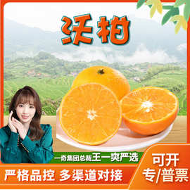 【严选】云端晚熟沃柑 代发5/8斤新鲜水果当季皮薄多汁柑橘非乌柑
