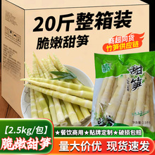 2.5kg甜笋清水笋火锅餐饮酒店半成品食材进货嫩笋尖笋丝笋干脆嫩