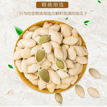 炒熟南瓜子椒盐味五香独立小包装南瓜籽坚果炒货追剧宿舍休闲零食