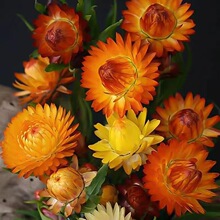 �����շN���ļ��̨���ԷN���^�p����ͥԺ�Nֲ���^���N�߲�Ϟ��