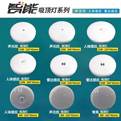 インテリジェント LED センサー天井ランプ廊下廊下通路階段音と光制御自動レーダー人体センサーランプ
