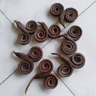 ����ǭh���M�ڸɹ��ɻ��b廨��Ȼֲ��ҾӔ[�O���նYƷ